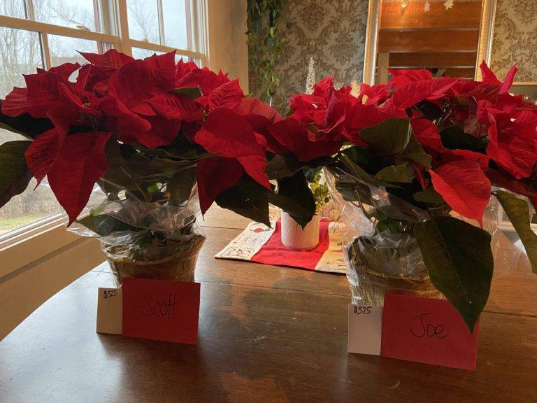 $650 and two poinsettias for our maintenance guys